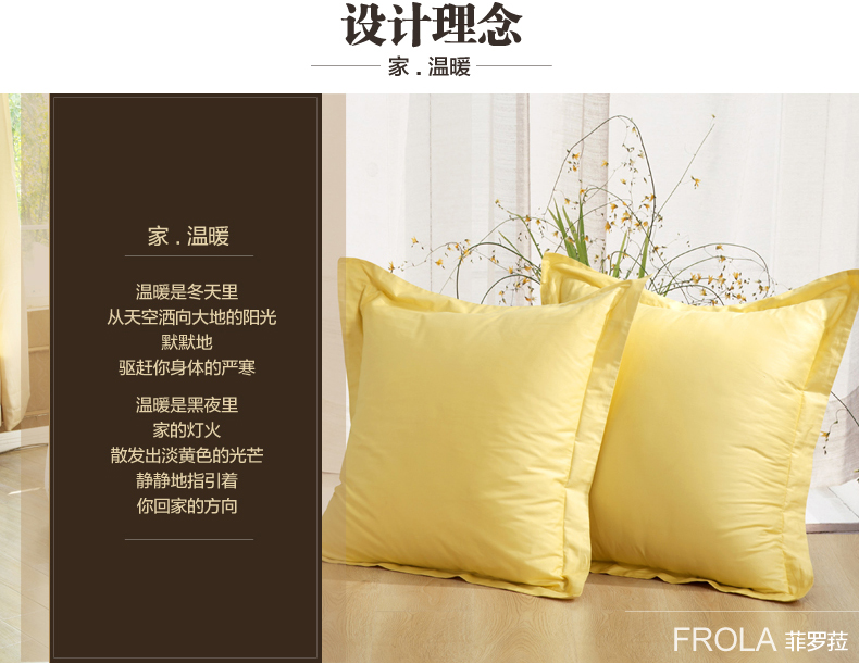 
                                        菲罗菈 全棉抱枕靠垫  办公室沙发靠垫 靠枕套 一对装 护腰靠垫 枕套 紫色 60cm*60cm靠垫套+内芯                