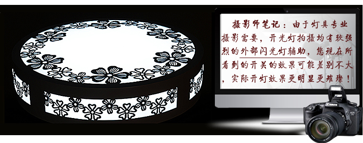 蒙特丽 客厅卧室灯书房餐厅过道省电王LED吸顶灯 MY-樱花(圆）简约田园木艺灯具(B) 30CM LED正白光12W