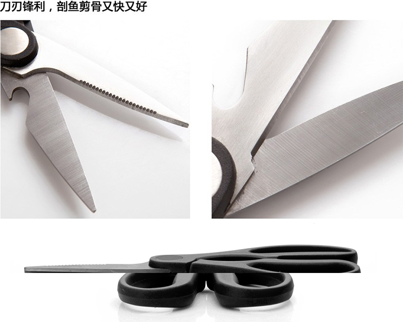 
                                        德世朗优质不锈钢多功能厨房剪刀开瓶盖去鱼鳞剪刀 FS005                