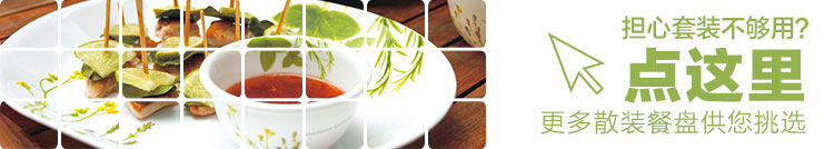美国进口康宁餐具套装欧洲香草20-LV 20-EC 20-RS 20-EH 碗盘套装 玫瑰 22-RS