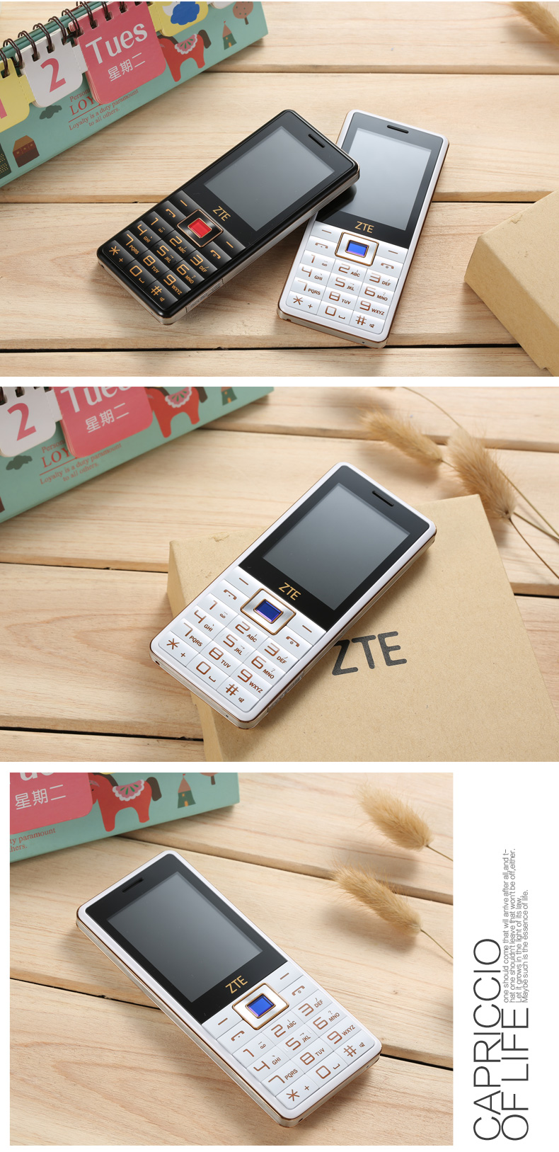 中兴（ZTE）ZTE-C V16 电信2G老人手机 白色