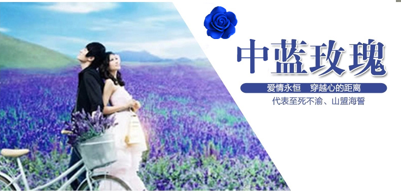 
                                                            昌辉（Changhui） 昌辉水晶珠帘门帘客厅帘子门帘隔断客厅卧室隔断浪漫玫瑰窗帘玫瑰 其他 定做一米一条拍前联系客服                