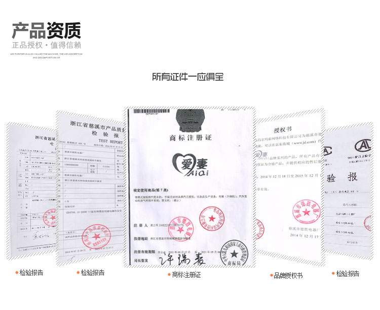 
                                        爱妻 蒸汽挂烫机 家用电熨斗 蓝                