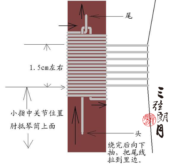 生长季与结实线图片