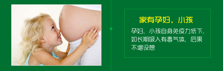 
                                        
                                                            绿驰 装修除味一喷净 新房装修家具甲醛清除剂 植物型除甲醛苯去油漆味 空气净化喷雾剂500ml                