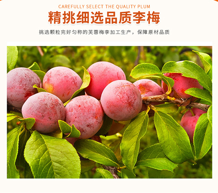 华味亨 精选加应子180g/袋 休闲食品 零食 梅子 话梅 办公零食