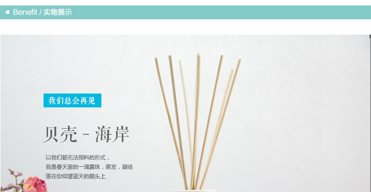 
                                        【买四免一】BASISHOME倍思家 海洋系列无火香薰精油套装藤条 房间香水室内摆件 海螺 100ml                