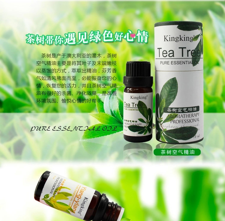 包邮 kingking香薰精油 室内熏香香薰炉香薰机用单方空气精油10ml 尤加利