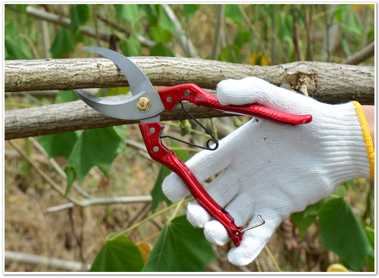 果树环割刀环剥刀环枝剪 荔枝柑桔蜜柚果树剥皮环剥刀芽接刀 绿色环剥