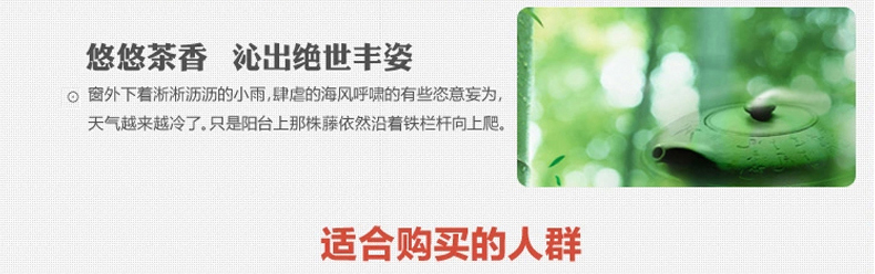 澳西奴凉席2015新款夏品可折叠空调席子散热防潮冰丝席 1.8米床