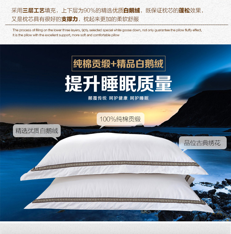 帝菲雅  羽绒枕头绣花羽绒枕芯 五星级酒店鹅绒枕芯 绣边枕(单个装) 74x48cm