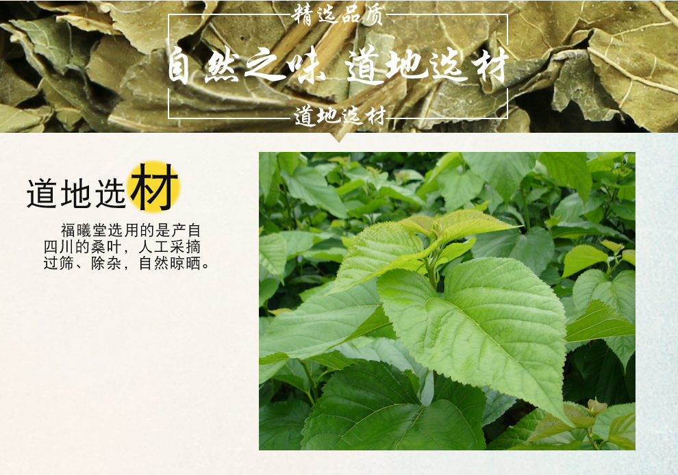 福曦堂桑叶干桑叶中药材霜桑叶冬桑叶桑葚叶晒干桑叶300克1袋
