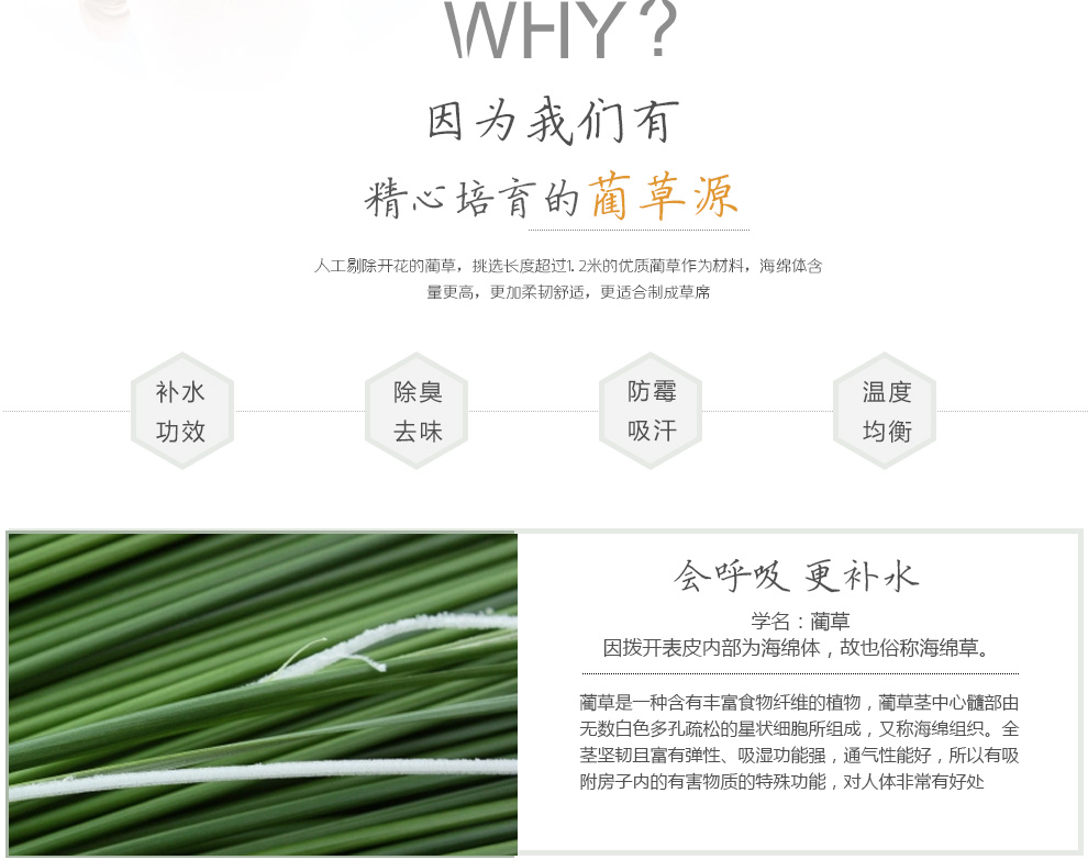 
                                        华升 蔺草凉席1.5米 1.8米双人床三件套 草席子 可折叠空调席  清爽席面 一席两枕套 180*200CM                
