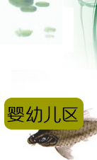 黄古林夏季文竹席藤双面席竹片竹纤维竹凉席1.8米竹席子手工床席 180cm*200cm