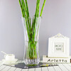 Stone tree rich bamboo vase transparent glass vase large hydroponic lily dried flower arrangement living room decoration 30 thick crystal cabbage