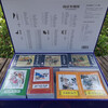 Comic strips of China's Four Classical Classics (box set of 136 volumes)
