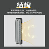 BoogieMAN Yuanyuan's same model ProReeds ten-hole harmonica paddy blues for adults and children beginners