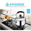 Supor kettle gas 304 stainless steel gas induction cooker hot water kettle whistle large capacity 5 liters