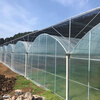 Nongyumeng greenhouse film agricultural white plastic sheet thickened thermal insulation waterproof anti-aging transparent non-drip film 10 meters wide (10S) 1 meter long