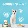 NetEase carefully selected cat wet food, cat snacks, thick soup, canned meat, yellow fin tuna, 85g*6 cans