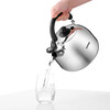 SUPOR Fashion Mingyin 304 stainless steel kettle kettle induction cooker gas universal ES30HS01 3L
