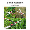 AIRAJ German imported gardening scissors, fruit tree branches, garden lawn pruning shears, Japanese landscaping tools, standard straight blade