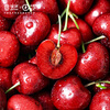 JOYVIO Chilean Cherries Big Mac 3J Grade 2.5kg Gift Box Fruit Diameter Approximately 30-32mm Straight from the Source Free Shipping