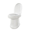 Toilet electric crushing all-in-one machine basement rental toilet home bathroom RV modified toilet basic push-button crushing toilet silent other/other