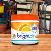 Bright AirAir Bright AIR solid air freshener & odor eliminator