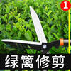 Gardening scissors, garden flower shears, pruning shears, special hedge shears for lawn trimming, powerful trimming of branches ZP9, orange flat tube