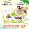 The Most Beautiful Fabre's Insects, a 12-volume set by Master Matsuoka Daiei, Children's Natural Science Encyclopedia of Insects, School Recommended Extracurricular Reading, 3-6 Years Old, 7-10 Years Old, Love Tree Children's Book