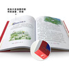 Aesop's Fables, painted children's phonetic version, a classic series shared by children around the world, genuine 7-10-year-old world famous books, story pinyin readings, primary school students' first, second, third, fourth, fifth and sixth grade fairy tale extracurricular reading books (China Environmental Labeling Products, Green Printing)