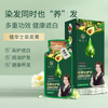 Phytvas Hair Dye, Plant Pure Hair Dye Cream, Fruit Dye Cream, Gaibai Dye Your Hair at Home, Black Brown 26mlx10 Bags