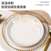 Haoya Jingdezhen Ceramic Plate Soup Plate Deep Dish Rice Plate Microwaveable Time Walk 8 Inch 2 Pack