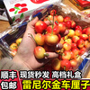 Chile imported golden cherries JJJJ Rainier yellow cherries fresh high-end fruit gift box 500g (net weight) 4J level Big Mac-selected gift box