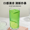 Zhaifuyi Mint Powder Edible Drink Baking Ingredients Homemade Summer Cool Drink Dry Mint Powder 130g