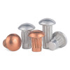 Jinggong aluminum sign rivets copper nameplate rivets trademark rivets solid knurled rivets twill aluminum rivets GB827 copper 2*4 100 pieces