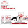 Royal Imported Staple Food Wet Food Pack Cat Nutrition Kitten Milk Cake Can Adult Cat Full Price Mousse Soft Pack 85g*12 Pack Royal Adult Cat (Meat Soup) 85g*12