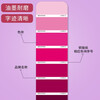 Color Pass 2188 Color Card Sample Book Color Mixing Formula Ratio Color Card Sample Latex Paint Paint Coating Hardware Textile Plastic Silk Printing CMYK Design Architectural Color Card