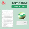 Junior high school biology synchronous teaching experiment observation slide specimen is clear and easy to observe mold slide human blood smear human blood smear onion scale leaf epidermis mount