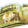 3-6 years old Children’s Eyes on the World Science Museum Grassland Animals