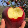 Jingxiansheng Tianshui Huaniu Apple, net weight 7kg, single fruit 260g+, fresh fruit straight from the source