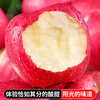 Jingning Apple, Gansu Red Fuji Apple, first-grade fruit, seasonal fresh apple, crispy and sweet, direct delivery from the source, 6 pounds, artificial selection, net weight 5 pounds, 11-12 pieces of fruit