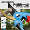 GREENER gardening shears, household pruning shears, branch pruning scissors, gardening household fruit tree shears, floral scissors with waist box lanyard