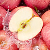 Jingdida Apple Yantai Apple Red Fuji Apple Fresh Fruit New Year Gift 8.5 Jin Single Fruit 80mm+ Straight from the Source