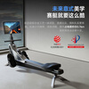 YPOO Silver Wing Seal V5 Professional Edition Rowing Machine Home Intelligent Magnetic Control Fitness Equipment Indoor Aerobics 15.6-inch Color Screen - Millisecond Resistance Adjustment/Personal Training Course