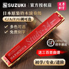SUZUKI Japanese Suzuki harmonica 24-hole double-hole single tone C major beginner student adult professional performance harmonica silver C key + full set of beginner information