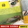 Encyclopedia of Birds and Insects Colored Pictures and Phonetic Version of Popular Science Books Little Eyes See the World Children's Encyclopedia of Scientific Enlightenment and Cognition