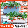 Field trails new balcony vegetable pots self-absorbing water vegetable pots thickened and deepened long pots household vegetable planting boxes plastic flower pots 3 pieces - large - deepened white vegetable pots