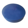 Beijing Times steel pipe plastic pipe cap plug round dust-proof thread blue steel bar protective sleeve pipe inner plug head plug PE inner diameter 48mm (pack of 10)